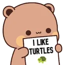 Iliketurtles