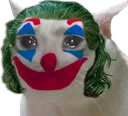 nekosociety nekosociety