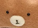 sadbear
