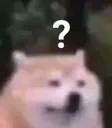 wht