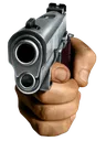 gun1