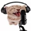 catScream
