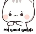 Lr_me_good_good