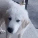 eww