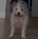 hiiii
