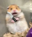 scared_hamster