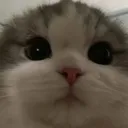 866585090700476446