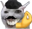 frenchcatsmile frenchcatsmile