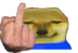 :dogefuckoff: