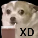 SmolXD