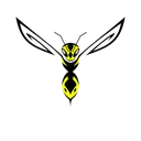 icg
