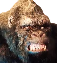 Kong_Disgust