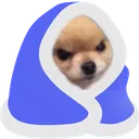 DogAngryMantita DogAngryMantita