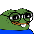 peepoNerd