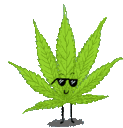 WEED
