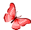 BFLY1