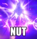 nut