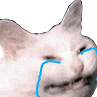 CatCri Discord emoji