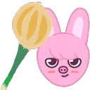 dwaekkionionbonk