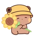 sunflower sunflower
