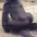 gorillafuck