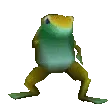 Sapo Sapo