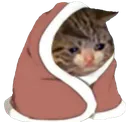 elgaticodelosojostristes