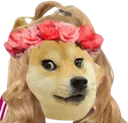 dogekibibi