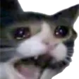 sad