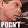 notpog notpog