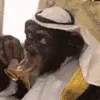 monke_arab