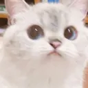Tenso