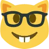 Nerdcat Discord Emoji