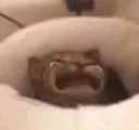 cri