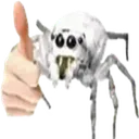spidar spidar
