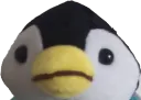 pico