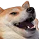 hehehe