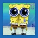 sponch