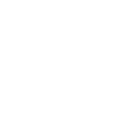 emoji_PartyLeader