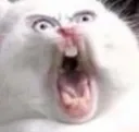 rage