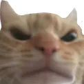 stubbsmad