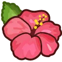 FlowerHibiscus