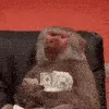 monke_rich_af monke_rich_af
