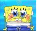 HappySponge