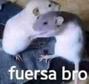 fuersabro Discord emoji