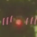 krillblush