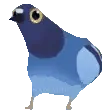 BIRD BIRD