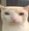 fr