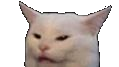 Catto Discord emoji