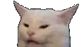 Catto catto Discord Emoji